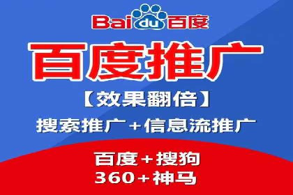 某某SEM团队成功案例：广告投放策略揭秘